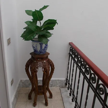 Guest house Alba Pisa